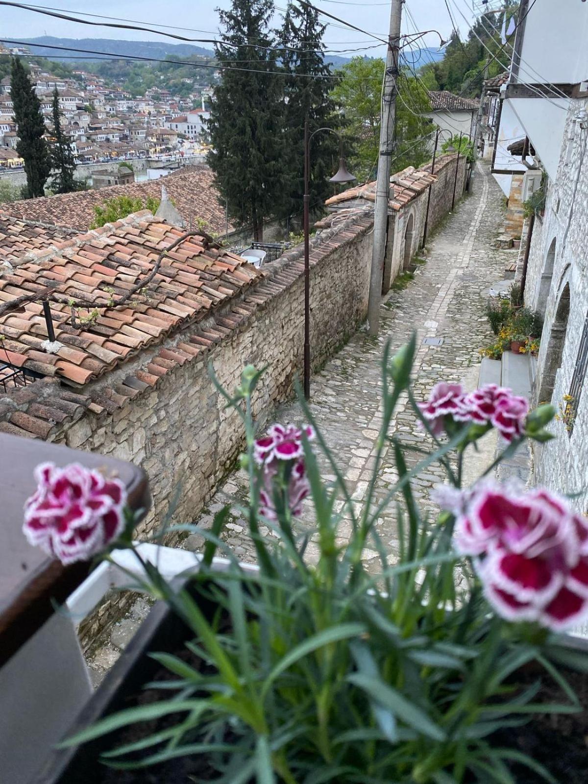 Oda E Skulptorit-Unesco Quarter Berat Zewnętrze zdjęcie