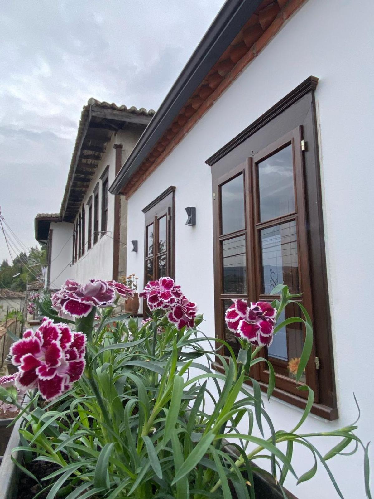 Oda E Skulptorit-Unesco Quarter Berat Zewnętrze zdjęcie
